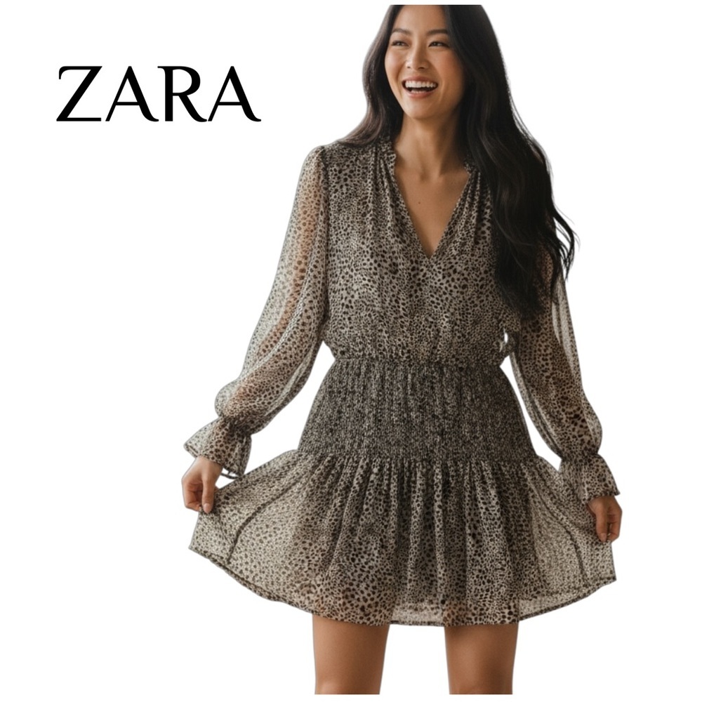 Zara Animal Print Sheer Dress